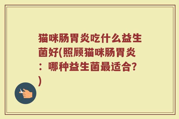猫咪肠胃炎吃什么益生菌好(照顾猫咪肠胃炎：哪种益生菌最适合？)