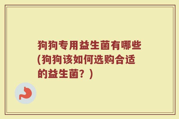 狗狗专用益生菌有哪些(狗狗该如何选购合适的益生菌？)
