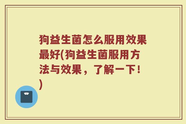 狗益生菌怎么服用效果最好(狗益生菌服用方法与效果，了解一下！)