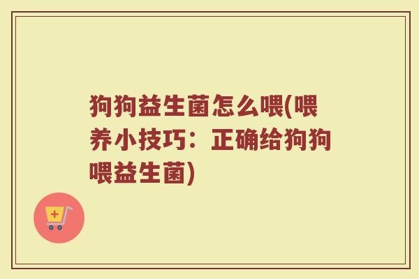 狗狗益生菌怎么喂(喂养小技巧：正确给狗狗喂益生菌)