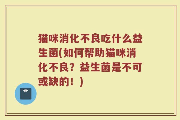 猫咪消化不良吃什么益生菌(如何帮助猫咪消化不良？益生菌是不可或缺的！)