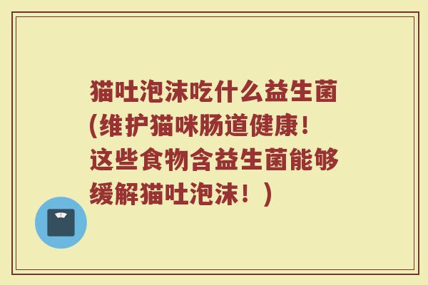 猫吐泡沫吃什么益生菌(维护猫咪肠道健康！这些食物含益生菌能够缓解猫吐泡沫！)