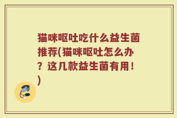 猫咪呕吐吃什么益生菌推荐(猫咪呕吐怎么办？这几款益生菌有用！)