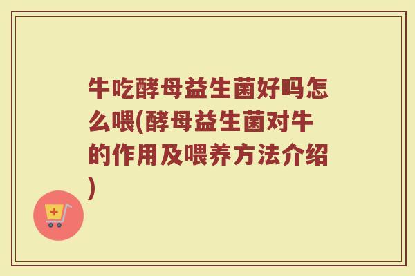 牛吃酵母益生菌好吗怎么喂(酵母益生菌对牛的作用及喂养方法介绍)