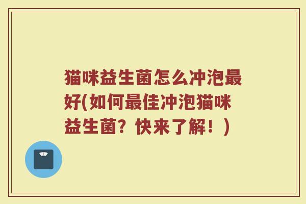 猫咪益生菌怎么冲泡最好(如何最佳冲泡猫咪益生菌？快来了解！)