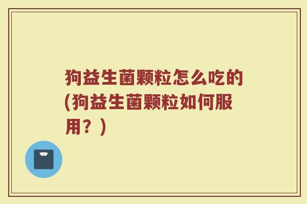 狗益生菌颗粒怎么吃的(狗益生菌颗粒如何服用？)