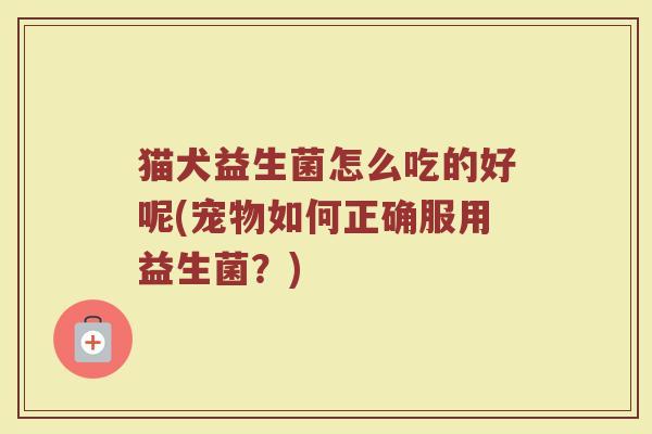 猫犬益生菌怎么吃的好呢(宠物如何正确服用益生菌？)