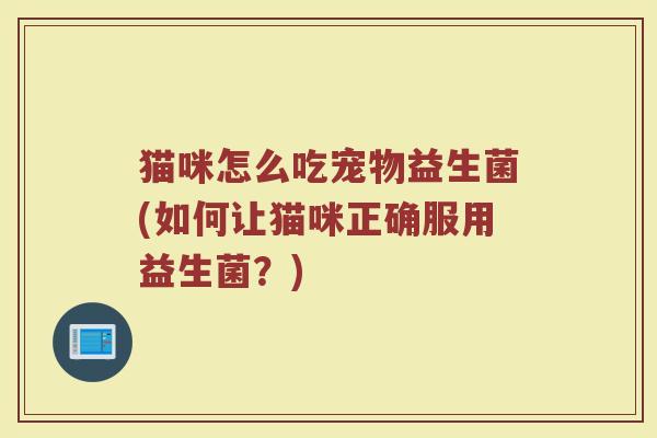 猫咪怎么吃宠物益生菌(如何让猫咪正确服用益生菌？)