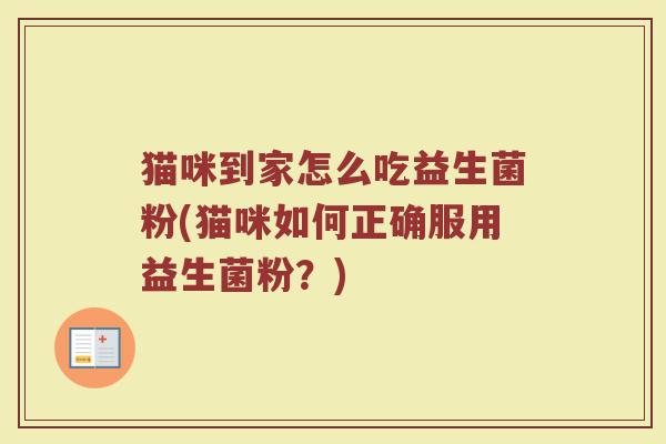 猫咪到家怎么吃益生菌粉(猫咪如何正确服用益生菌粉？)