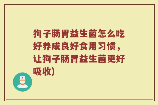 狗子肠胃益生菌怎么吃好养成良好食用习惯，让狗子肠胃益生菌更好吸收)