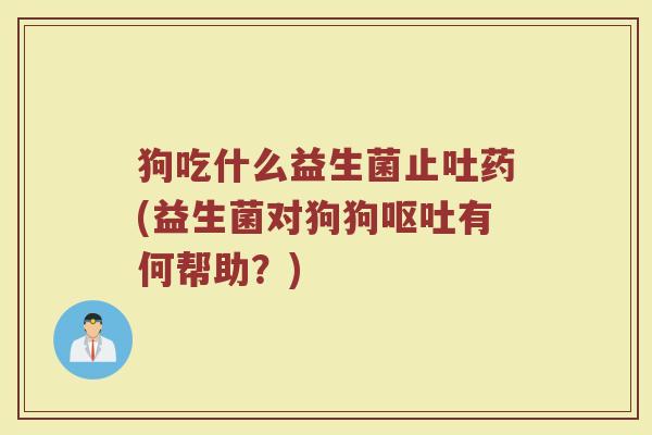 狗吃什么益生菌止吐药(益生菌对狗狗呕吐有何帮助？)