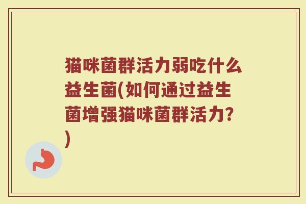 猫咪菌群活力弱吃什么益生菌(如何通过益生菌增强猫咪菌群活力？)