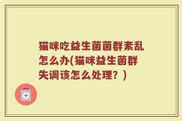 猫咪吃益生菌菌群紊乱怎么办(猫咪益生菌群失调该怎么处理？)