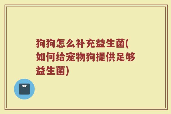 狗狗怎么补充益生菌(如何给宠物狗提供足够益生菌)