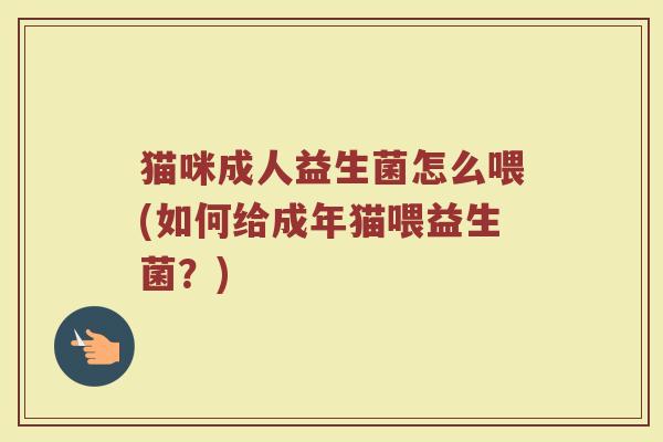 猫咪成人益生菌怎么喂(如何给成年猫喂益生菌？)