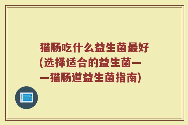 猫肠吃什么益生菌最好(选择适合的益生菌——猫肠道益生菌指南)