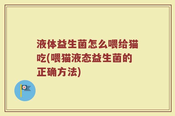 液体益生菌怎么喂给猫吃(喂猫液态益生菌的正确方法)