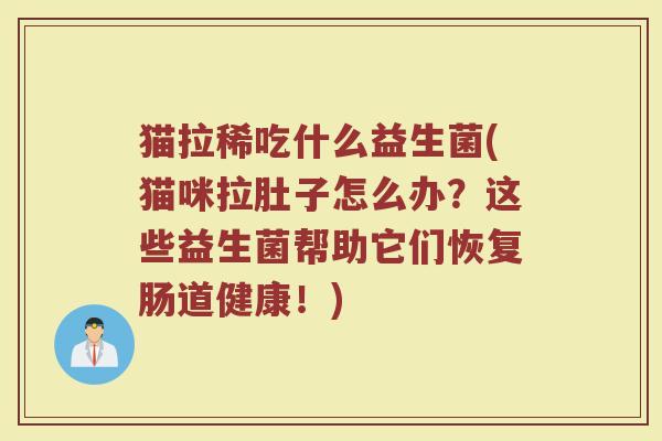 猫拉稀吃什么益生菌(猫咪拉肚子怎么办？这些益生菌帮助它们恢复肠道健康！)