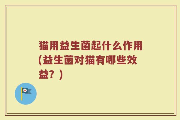 猫用益生菌起什么作用(益生菌对猫有哪些效益？)