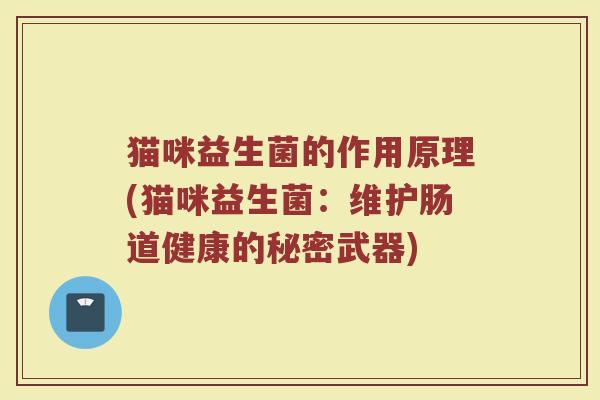 猫咪益生菌的作用原理(猫咪益生菌：维护肠道健康的秘密武器)