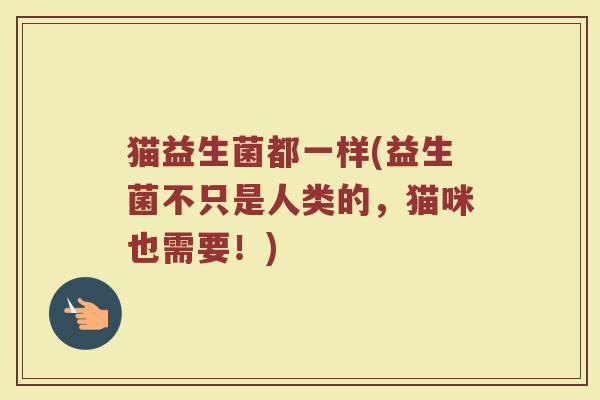 猫益生菌都一样(益生菌不只是人类的，猫咪也需要！)