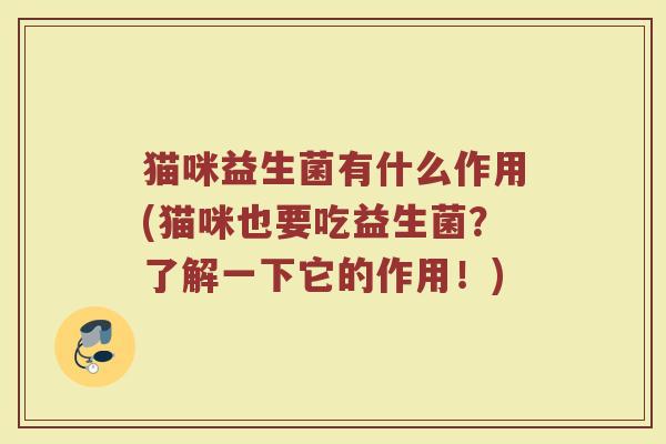 猫咪益生菌有什么作用(猫咪也要吃益生菌？了解一下它的作用！)