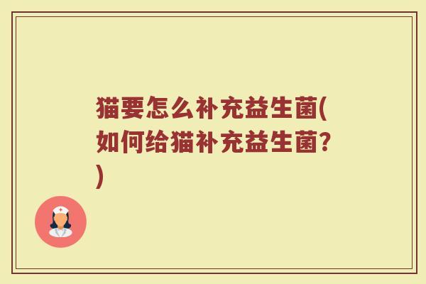 猫要怎么补充益生菌(如何给猫补充益生菌？)
