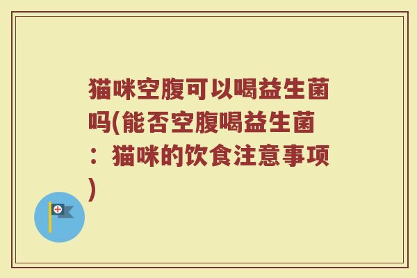 猫咪空腹可以喝益生菌吗(能否空腹喝益生菌：猫咪的饮食注意事项)