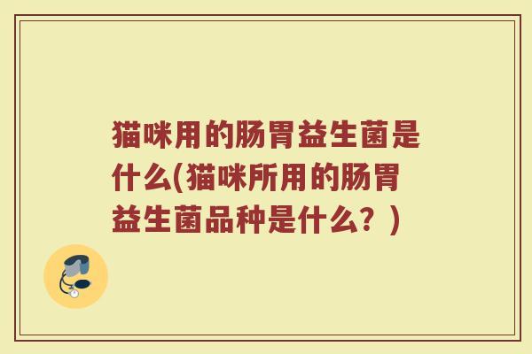 猫咪用的肠胃益生菌是什么(猫咪所用的肠胃益生菌品种是什么？)