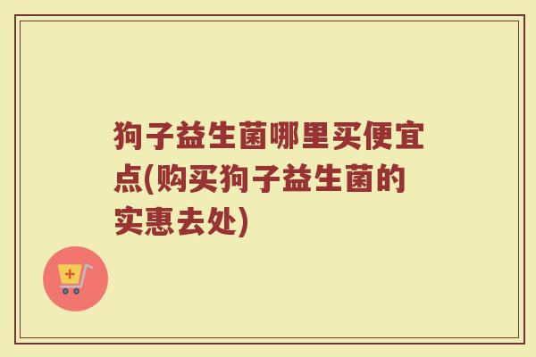 狗子益生菌哪里买便宜点(购买狗子益生菌的实惠去处)