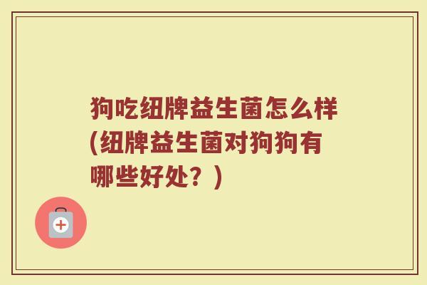 狗吃纽牌益生菌怎么样(纽牌益生菌对狗狗有哪些好处？)