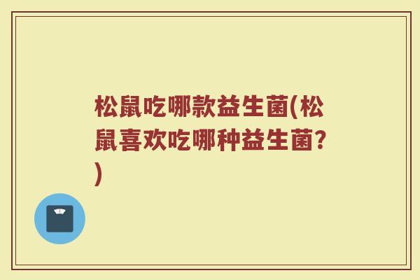 松鼠吃哪款益生菌(松鼠喜欢吃哪种益生菌？)