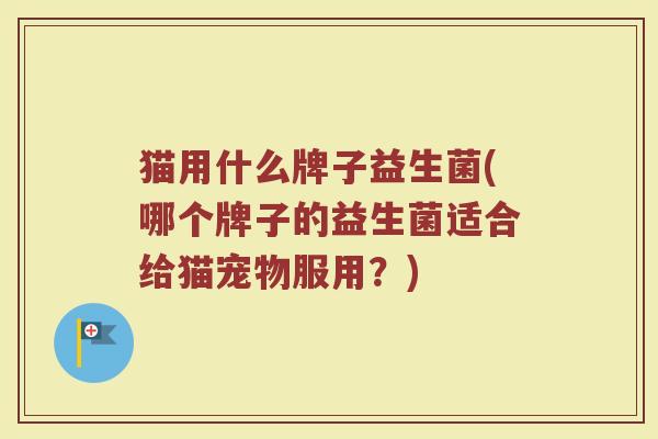 猫用什么牌子益生菌(哪个牌子的益生菌适合给猫宠物服用？)