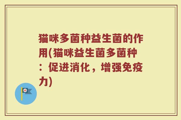 猫咪多菌种益生菌的作用(猫咪益生菌多菌种:促进消化,增强免疫力)