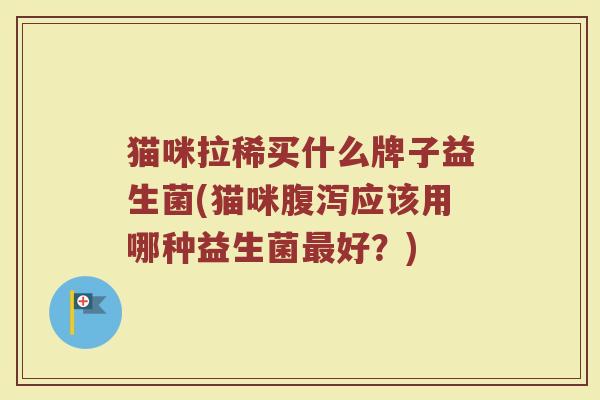 猫咪拉稀买什么牌子益生菌(猫咪腹泻应该用哪种益生菌最好？)