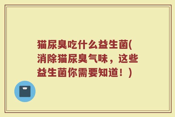 猫尿臭吃什么益生菌(消除猫尿臭气味，这些益生菌你需要知道！)