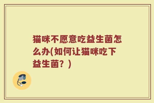猫咪不愿意吃益生菌怎么办(如何让猫咪吃下益生菌？)