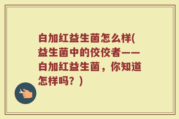 白加红益生菌怎么样(益生菌中的佼佼者——白加红益生菌，你知道怎样吗？)