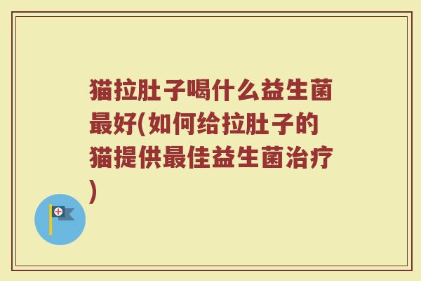 猫拉肚子喝什么益生菌最好(如何给拉肚子的猫提供最佳益生菌治疗)