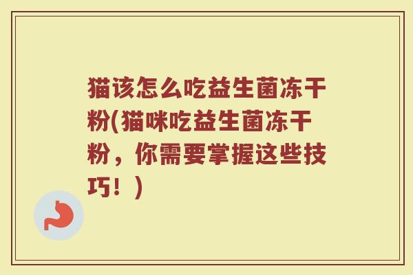 猫该怎么吃益生菌冻干粉(猫咪吃益生菌冻干粉，你需要掌握这些技巧！)