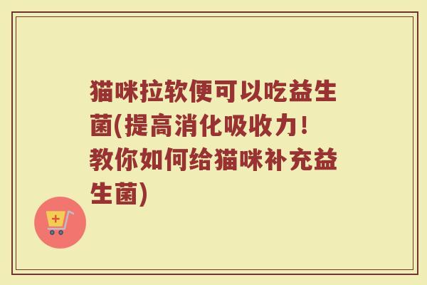猫咪拉软便可以吃益生菌(提高消化吸收力!教你如何给猫咪补充益生菌)