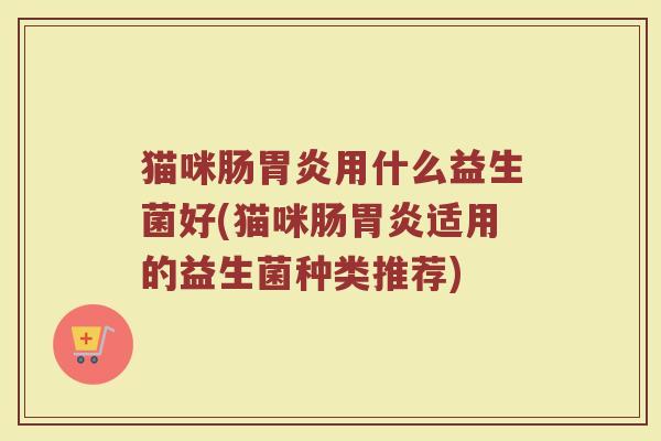 猫咪肠胃炎用什么益生菌好(猫咪肠胃炎适用的益生菌种类推荐)