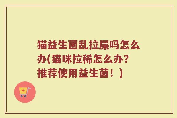 猫益生菌乱拉屎吗怎么办(猫咪拉稀怎么办？推荐使用益生菌！)