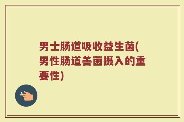 男士肠道吸收益生菌(男性肠道善菌摄入的重要性)