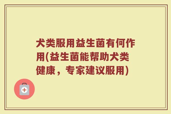 犬类服用益生菌有何作用(益生菌能帮助犬类健康，专家建议服用)