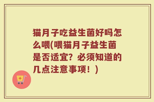 猫月子吃益生菌好吗怎么喂(喂猫月子益生菌是否适宜？必须知道的几点注意事项！)
