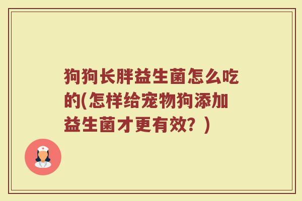 狗狗长胖益生菌怎么吃的(怎样给宠物狗添加益生菌才更有效?)
