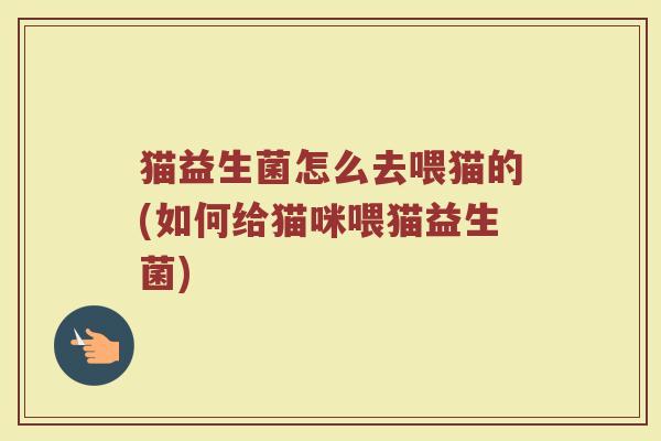猫益生菌怎么去喂猫的(如何给猫咪喂猫益生菌)