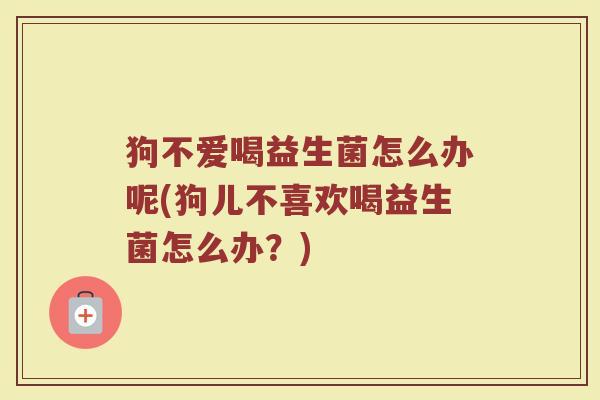 狗不爱喝益生菌怎么办呢(狗儿不喜欢喝益生菌怎么办？)