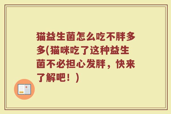 猫益生菌怎么吃不胖多多(猫咪吃了这种益生菌不必担心发胖，快来了解吧！)